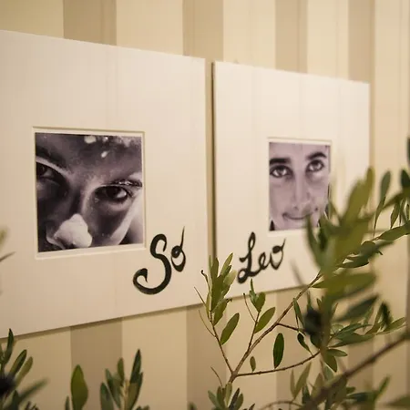 بيت ضيافة So&leo